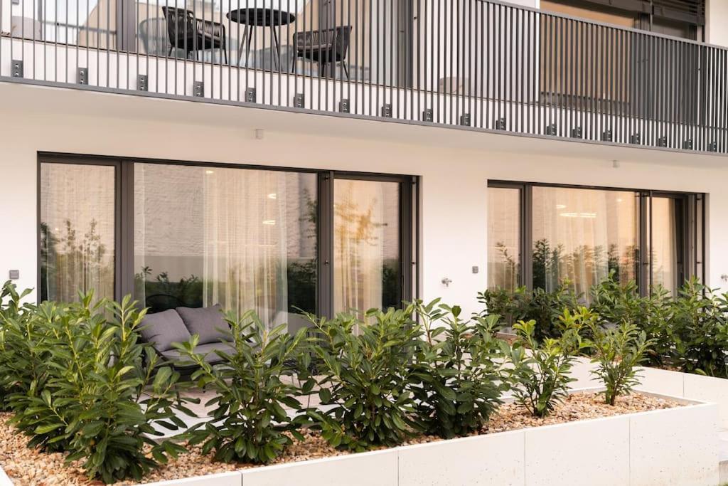Gold Garden Terrace Apartment Brünn  Kültér fotó